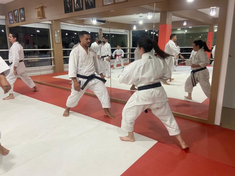 Aula de karate Shotokan - Renbukan Brasil - Escola de Artes Marciais Japonesas - Cotia - São Paulo - Sensei Francisco Santiago (21)