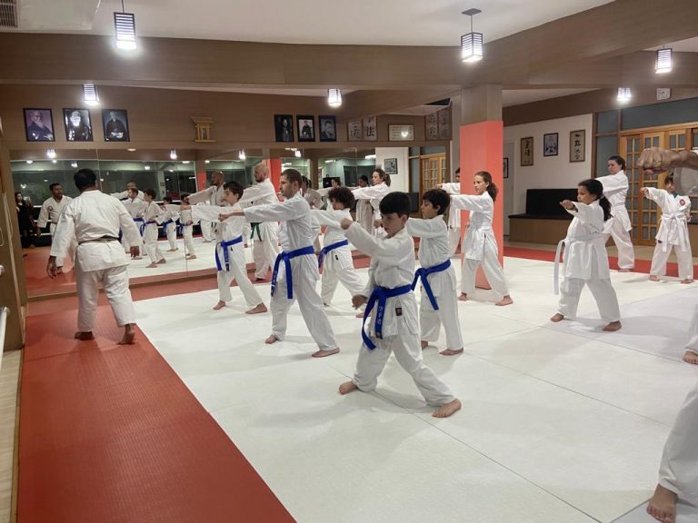 Aula de karate Shotokan - Renbukan Brasil - Escola de Artes Marciais Japonesas - Cotia - São Paulo - Sensei Francisco Santiago (23)