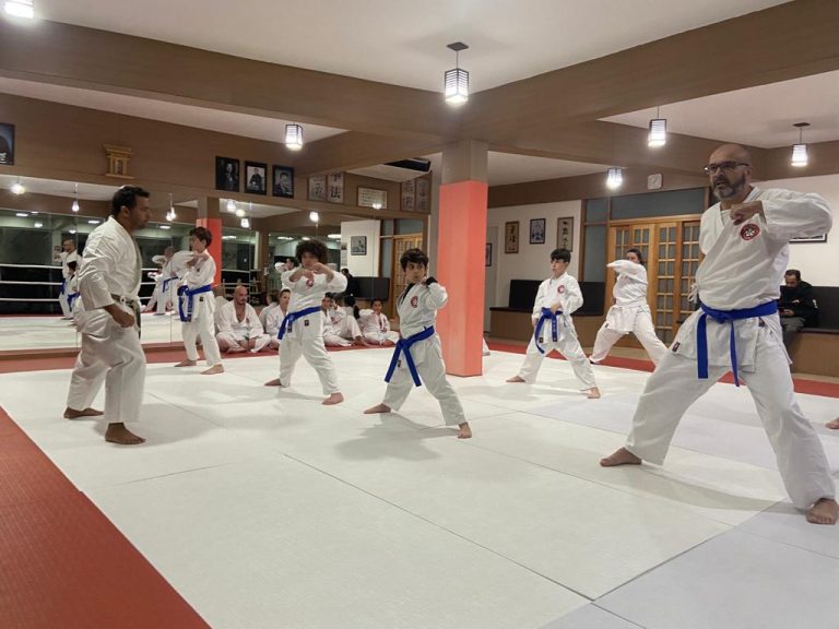 Aula de karate Shotokan - Renbukan Brasil - Escola de Artes Marciais Japonesas - Cotia - São Paulo - Sensei Francisco Santiago (25)