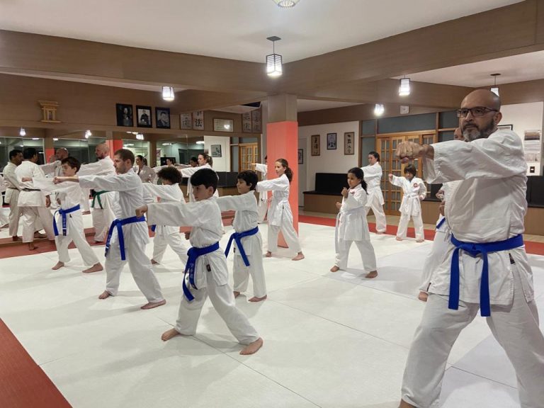 Aula de karate Shotokan - Renbukan Brasil - Escola de Artes Marciais Japonesas - Cotia - São Paulo - Sensei Francisco Santiago (28)