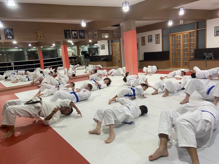 Aula de karate Shotokan - Renbukan Brasil - Escola de Artes Marciais Japonesas - Cotia - São Paulo - Sensei Francisco Santiago (29)