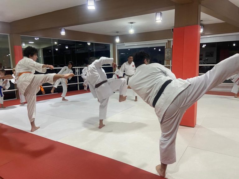 Aula de karate Shotokan - Renbukan Brasil - Escola de Artes Marciais Japonesas - Cotia - São Paulo - Sensei Francisco Santiago (30)