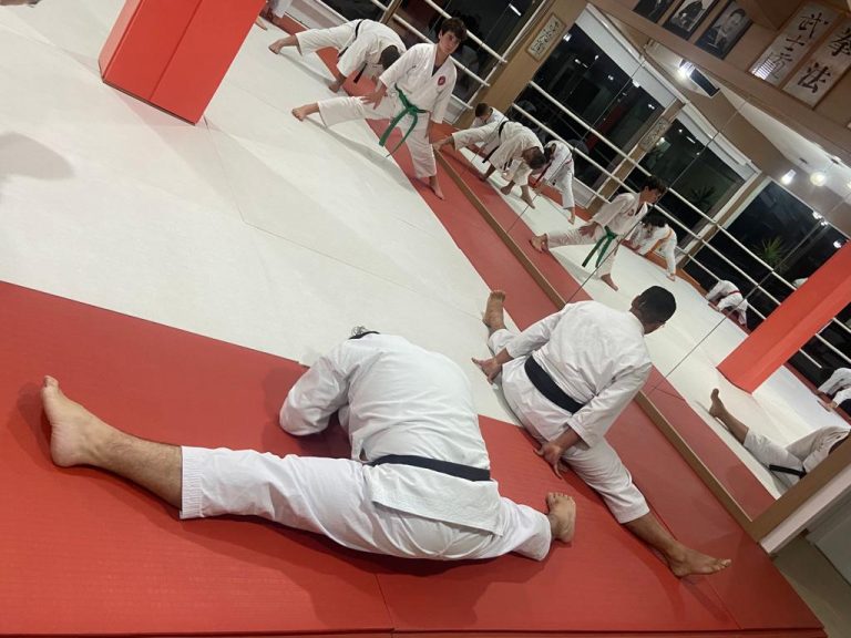 Aula de karate Shotokan - Renbukan Brasil - Escola de Artes Marciais Japonesas - Cotia - São Paulo - Sensei Francisco Santiago (5)