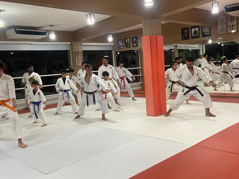 Aula de karate Shotokan - Renbukan Brasil - Escola de Artes Marciais Japonesas - Cotia - São Paulo - Sensei Francisco Santiago - Sensei Barbara Belafronte -