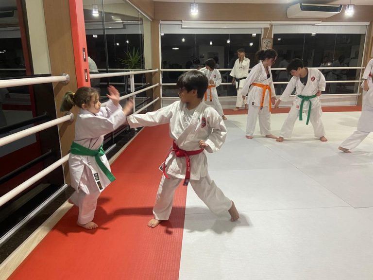 Aula de karate Shotokan - Renbukan Brasil - Escola de Artes Marciais Japonesas - Cotia - São Paulo - Sensei Francisco Santiago - Sensei Roberto Nascimento - Fiorella Bonaguro