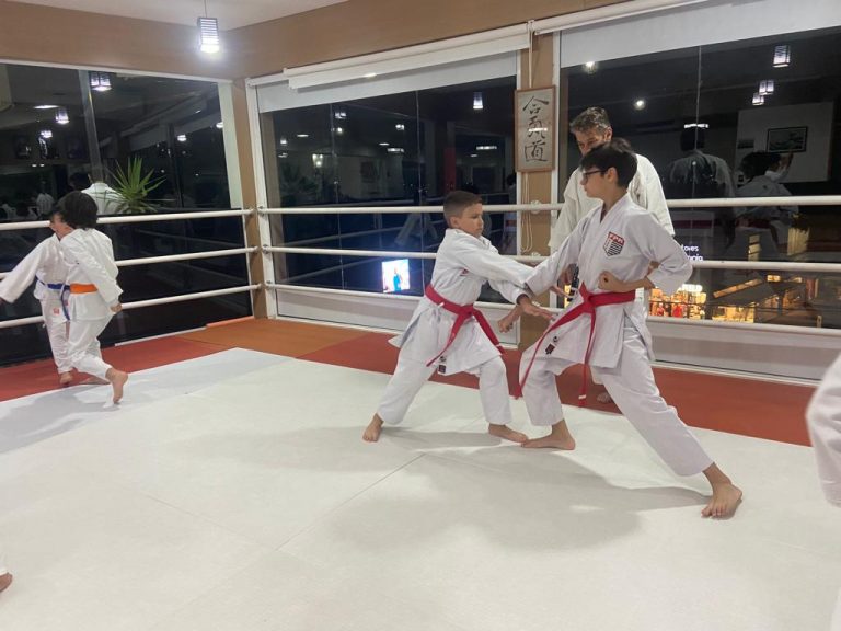Aula de karate Shotokan - Renbukan Brasil - Escola de Artes Marciais Japonesas - Cotia - São Paulo - Sensei Francisco Santiago - Vinicius Gracci