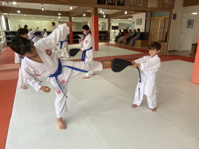 Aula de karate para crianças e adolescentes - Renbukan Brasil - Escola de Artes Marciais Japonesas - Cotia - São Paulo - Sensei Roberto Nascimento