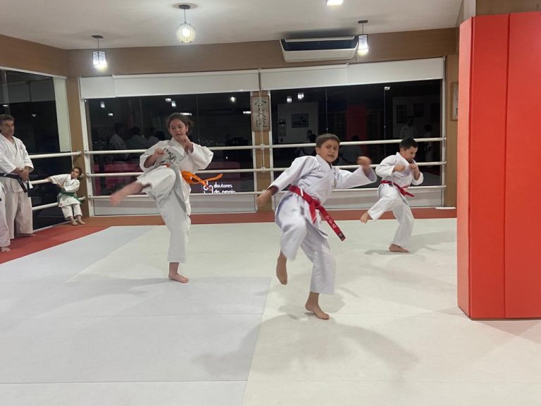 Aulas de Karate Shotokan - Cotia - São Paulo - Sensei Francisco Santiago - Renbukan Brasil - Escola de Artes Marciais Japonesas 3