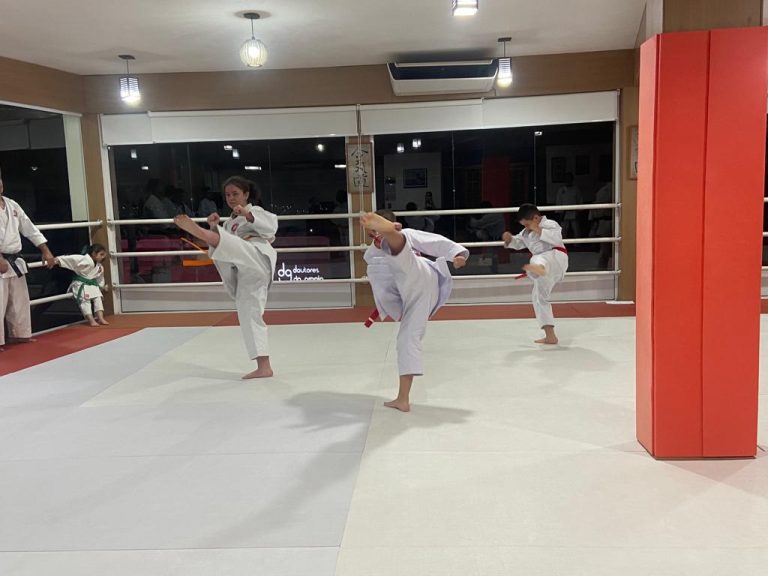 Aulas de Karate Shotokan - Cotia - São Paulo - Sensei Francisco Santiago - Renbukan Brasil - Escola de Artes Marciais Japonesas 6