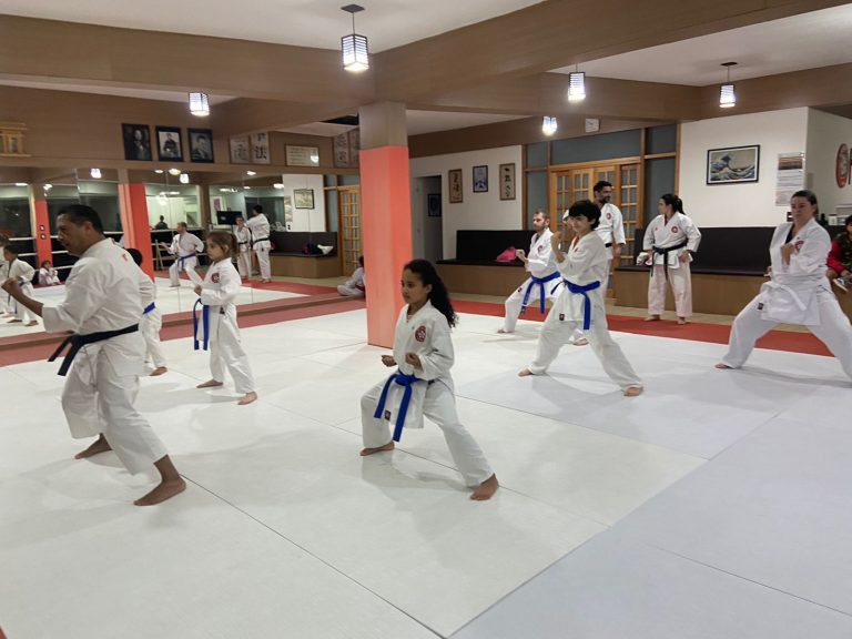 Aulas de karate Cotia - São Paulo - Sensei Francisco Santiago - Sensei Barbara Belafronte - Renbukan Brasil - Escola de Artes Marciais Japonesas