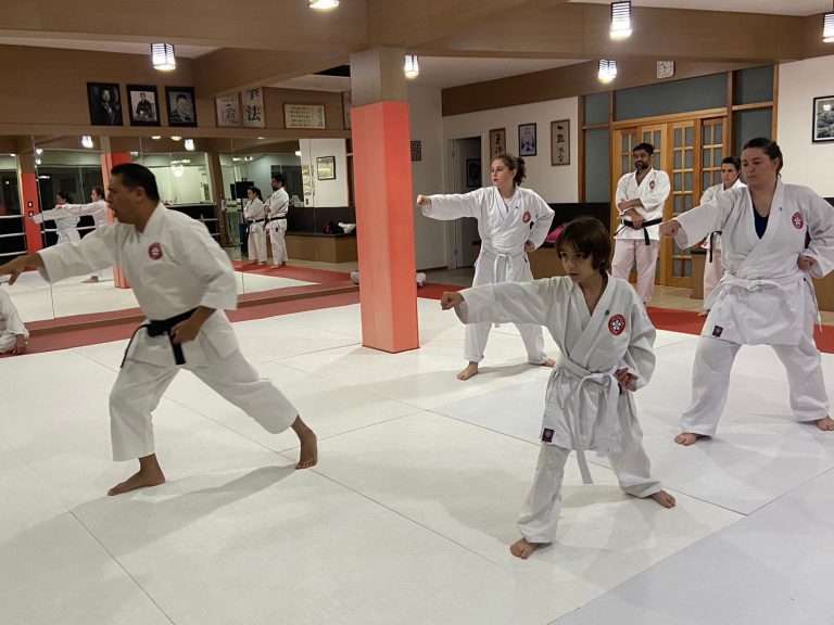 Aulas de karate Cotia - São Paulo - Sensei Francisco Santiago - Sensei Barbara Belafronte - Renbukan Brasil - Escola de Artes Marciais Japonesas (2)