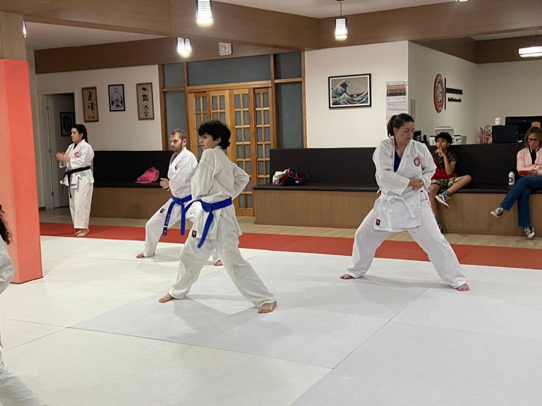 Aulas de karate Cotia - São Paulo - Sensei Francisco Santiago - Sensei Barbara Belafronte- Renbukan Brasil - Escola de Artes Marciais Japonesas
