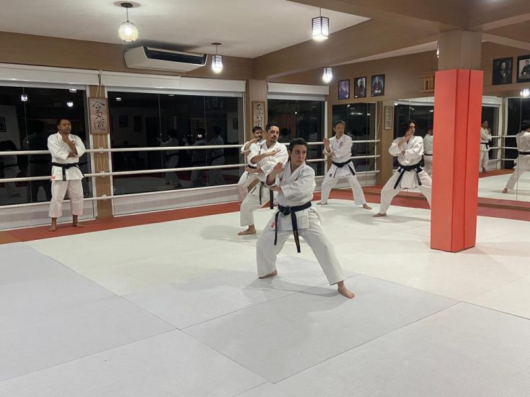 Karate Shotokan - Sensei Francisco Santiago - Escola de Artes Marciais Japonesas - Cotia - São Paulo - Sensei barbara Belafronte - Arthur Duarte