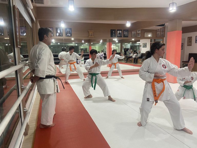 Aula de Karate para crianças, adultos - Renbukan Brasil - Sensei Roberto Nascimento - Cotia - São Paulo