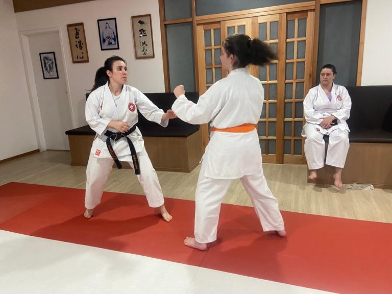 Karate Shotokan - Sensei Francisco Santiago - Escola de Artes Marciais Japonesas - Cotia - São Paulo - Sensei barbara Belafronte