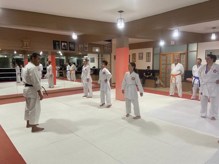 Karate Shotokan - Sensei Francisco Santiago - Escola de Artes Marciais Japonesas - Cotia - São Paulo -