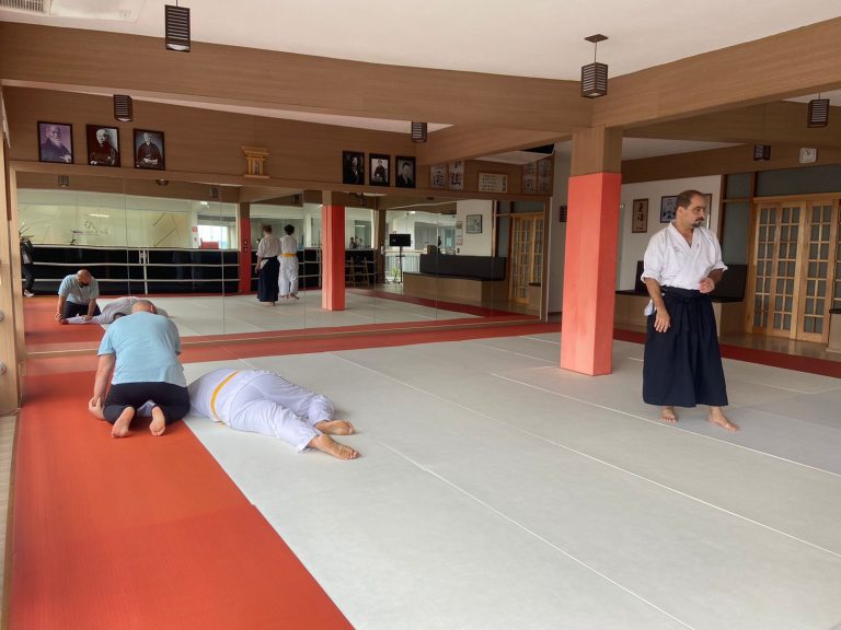 Aula de Aikido - Renbukan Brasil - Escola de Artes Marciais Japonesas - Sensei Djair Alves - Cotia - São Paulo - Aikido para crianças (1)