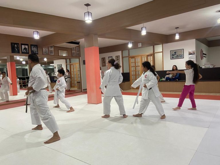 Aula de Karate - Renbukan Brasil - Escola de Artes Marciais Japonesas - Sensei Francisco Santiago -