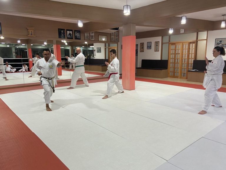 Aula de Karate - Renbukan Brasil - Escola de Artes Marciais Japonesas - Sensei Francisco Santiago - (2)