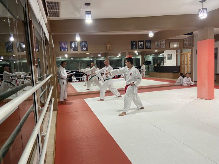 Aula de Karate - Renbukan Brasil - Escola de Artes Marciais Japonesas - Sensei Francisco Santiago - (3)