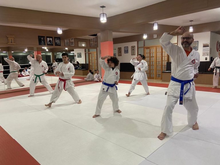 Aula de Karate - Renbukan Brasil - Escola de Artes Marciais Japonesas - Sensei Francisco Santiago - Fionaguro - Cotia - São Paulo