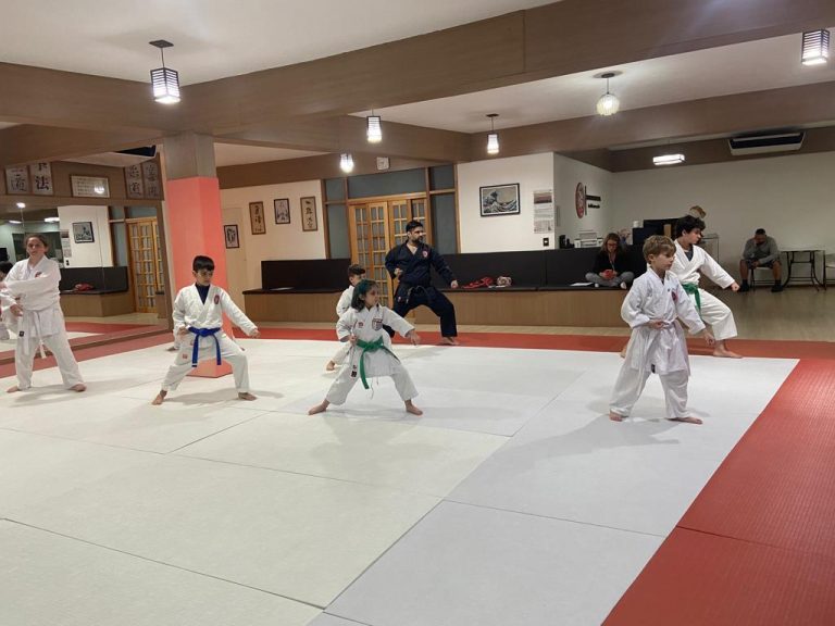 Aula de Karate - Renbukan Brasil - Escola de Artes Marciais Japonesas - Sensei Francisco Santiago - Fiorella Bonaguro - Cotia - São Paulo (2)