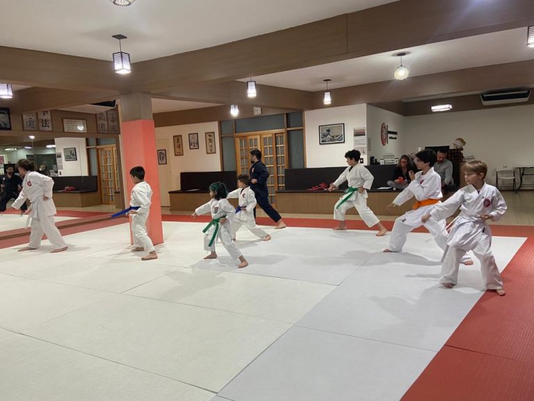Aula de Karate - Renbukan Brasil - Escola de Artes Marciais Japonesas - Sensei Francisco Santiago - Fiorella Bonaguro - Cotia - São Paulo (4)