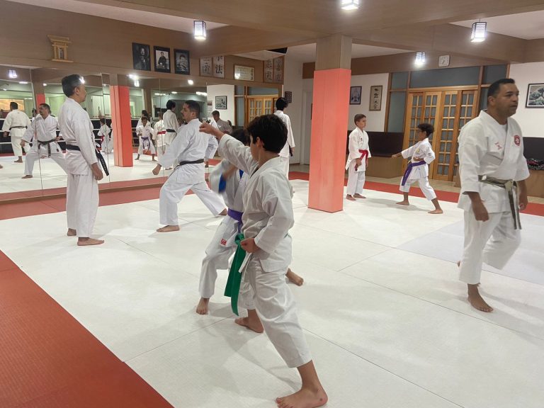 Aula de Karate-do - Renbukan Brasil - Escola de Artes Marciais Japonesas - Cotia - São Paulo - Sensei Francisco Santiago -