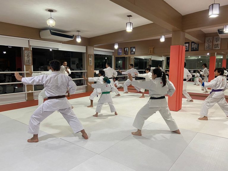 Aula de Karate-do - Renbukan Brasil - Escola de Artes Marciais Japonesas - Cotia - São Paulo - Sensei Francisco Santiago - (12)