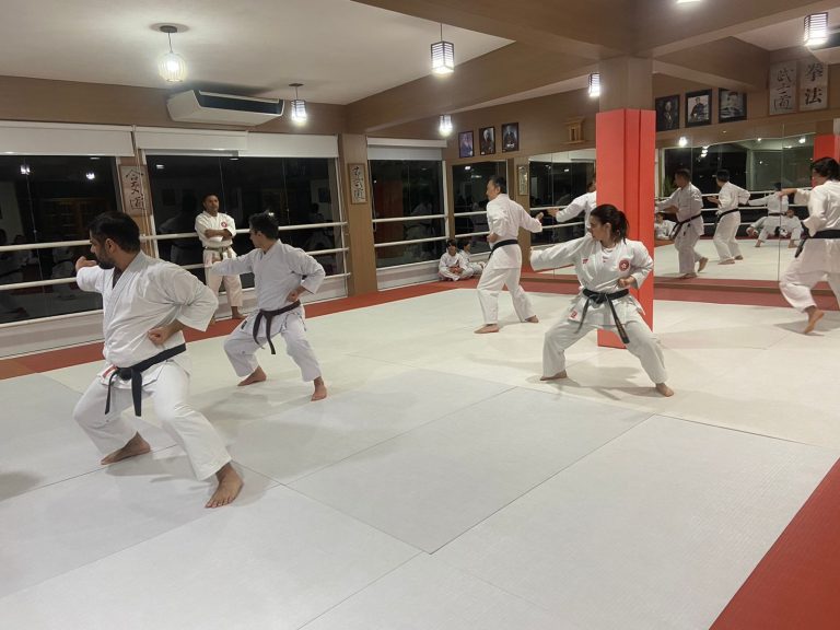 Aula de Karate-do - Renbukan Brasil - Escola de Artes Marciais Japonesas - Cotia - São Paulo - Sensei Francisco Santiago - (13)