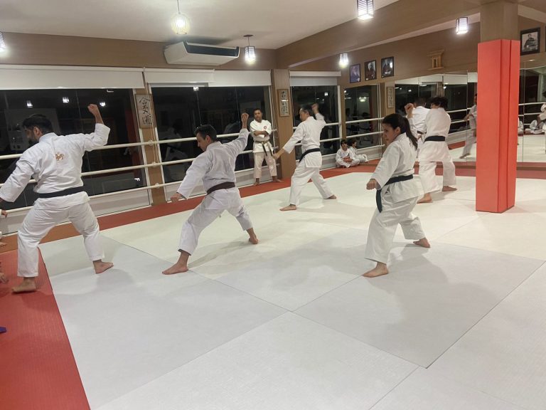 Aula de Karate-do - Renbukan Brasil - Escola de Artes Marciais Japonesas - Cotia - São Paulo - Sensei Francisco Santiago - (14)