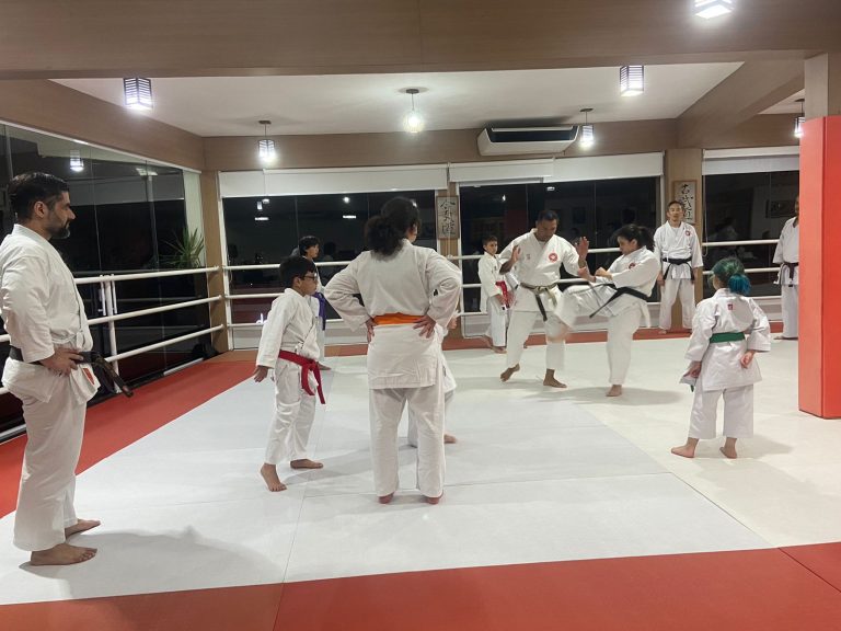 Aula de Karate-do - Renbukan Brasil - Escola de Artes Marciais Japonesas - Cotia - São Paulo - Sensei Francisco Santiago - (15)
