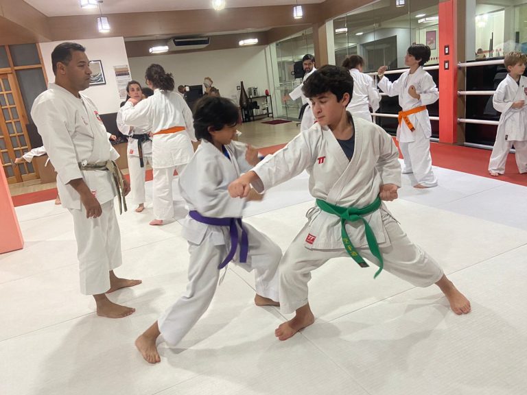 Aula de Karate-do - Renbukan Brasil - Escola de Artes Marciais Japonesas - Cotia - São Paulo - Sensei Francisco Santiago - (16)