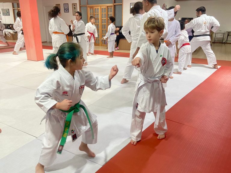 Aula de Karate-do - Renbukan Brasil - Escola de Artes Marciais Japonesas - Cotia - São Paulo - Sensei Francisco Santiago - (17)