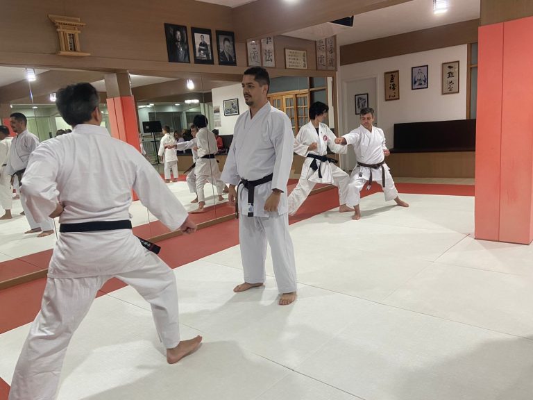 Aula de Karate-do - Renbukan Brasil - Escola de Artes Marciais Japonesas - Cotia - São Paulo - Sensei Francisco Santiago - (19)