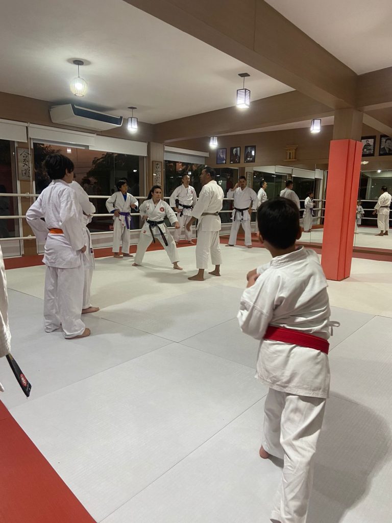 Aula de Karate-do - Renbukan Brasil - Escola de Artes Marciais Japonesas - Cotia - São Paulo - Sensei Francisco Santiago