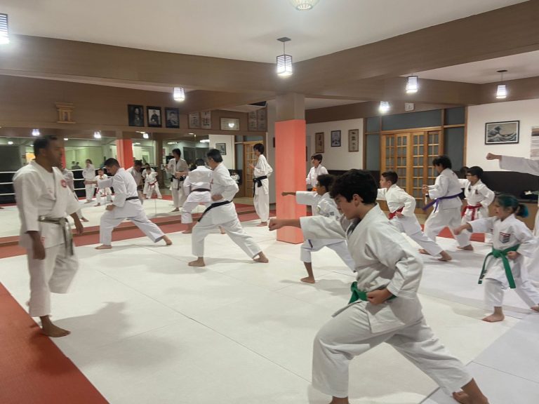 Aula de Karate-do - Renbukan Brasil - Escola de Artes Marciais Japonesas - Cotia - São Paulo - Sensei Francisco Santiago - (22)