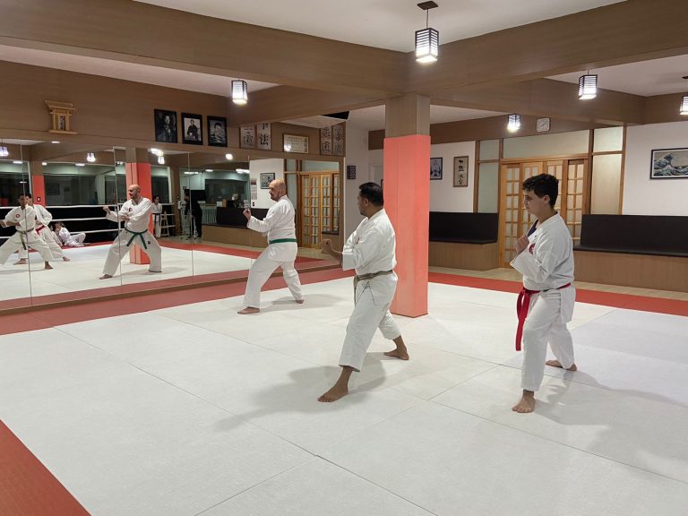 Aula de Karate-do - Renbukan Brasil - Escola de Artes Marciais Japonesas - Cotia - São Paulo - Sensei Francisco Santiago - (6)