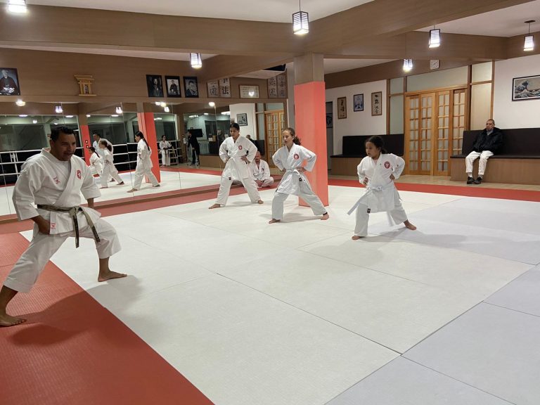 Aula de Karate-do - Renbukan Brasil - Escola de Artes Marciais Japonesas - Cotia - São Paulo - Sensei Francisco Santiago - (7)