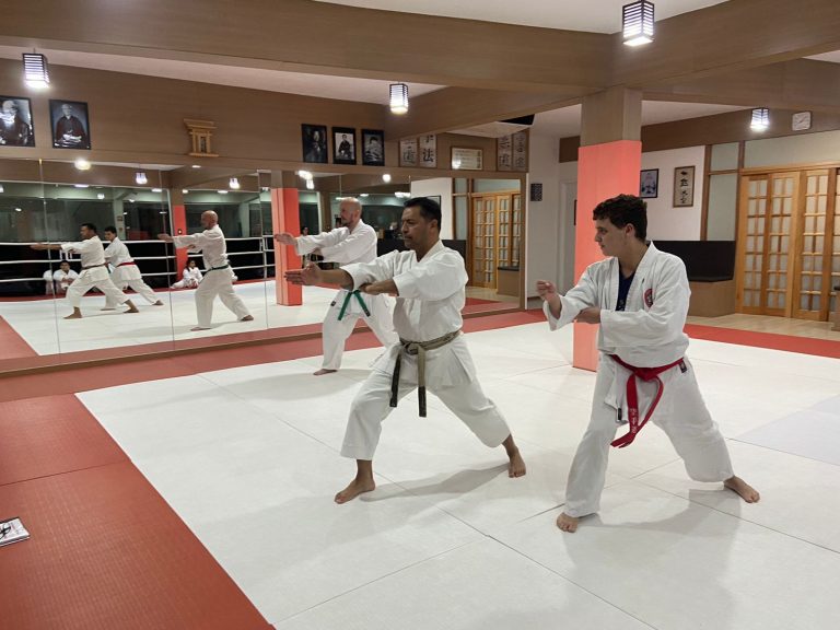 Aula de Karate-do - Renbukan Brasil - Escola de Artes Marciais Japonesas - Cotia - São Paulo - Sensei Francisco Santiago - (9)