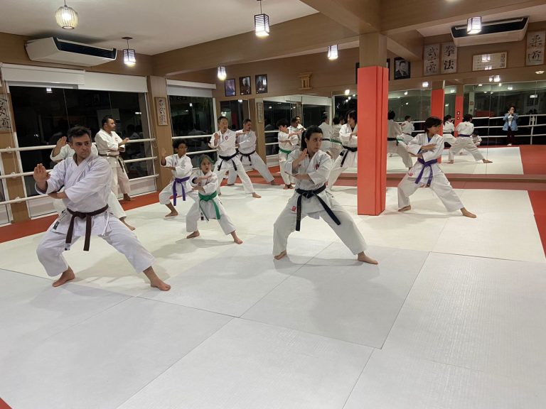 Aula de Karate-do - Renbukan Brasil - Escola de Artes Marciais Japonesas - Cotia - São Paulo - Sensei Francisco Santiago - Fiorella Bonaguro - Sensei Barbara Belafronte - Yago Seto