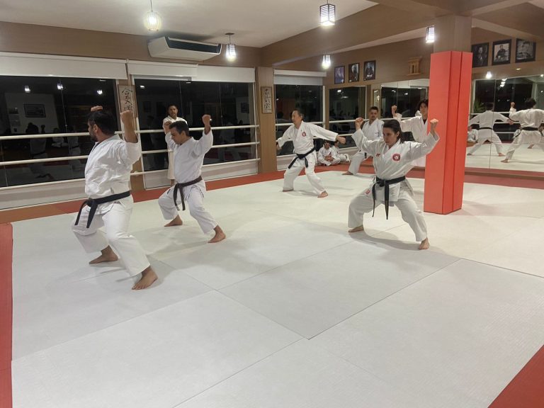 Aula de Karate-do - Renbukan Brasil - Escola de Artes Marciais Japonesas - Cotia - São Paulo - Sensei Francisco Santiago - Sensei Barbara Belafronte - Arthur Duarte