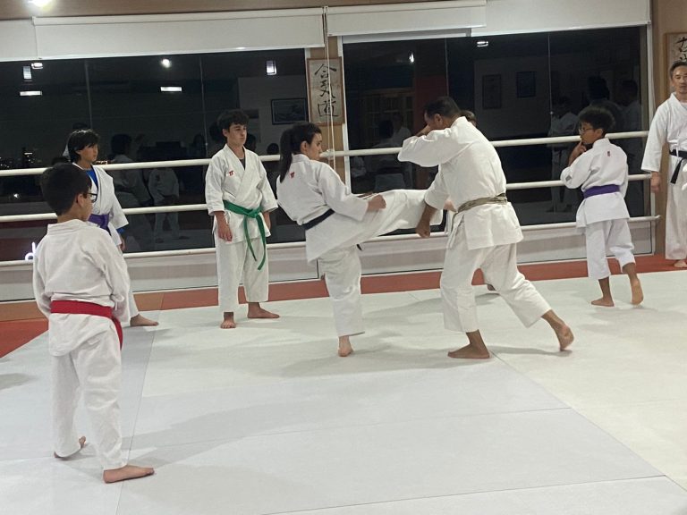 Aula de Karate-do - Renbukan Brasil - Escola de Artes Marciais Japonesas - Cotia - São Paulo - Sensei Francisco Santiago - Sensei Barbara Belafronte - Fiorella Bonaguro