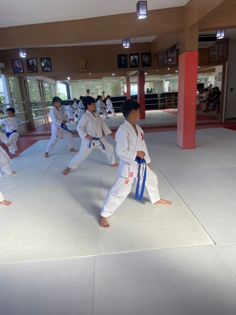 Aula de Karate para crianças - Renbukan Brasil - Escola de Artes Marciais - Cotia - São Paulo - Sensei Roberto Nascimento