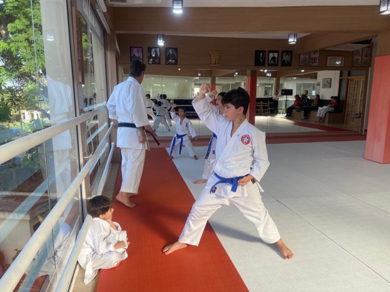 Aula de Karate para crianças - Renbukan Brasil - Escola de Artes Marciais - Cotia - São Paulo - Sensei Roberto Nascimento