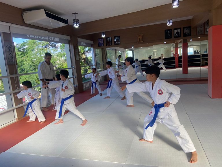 Aula de Karate para crianças - Renbukan Brasil - Escola de Artes Marciais - Cotia - São Paulo - Sensei Roberto Nascimento (3)