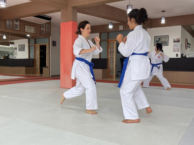 Aula de karate - Turma da Manhã - Renbukan Brasil - Escola de Artes Marciais Japonesas - Cotia - São Paulo