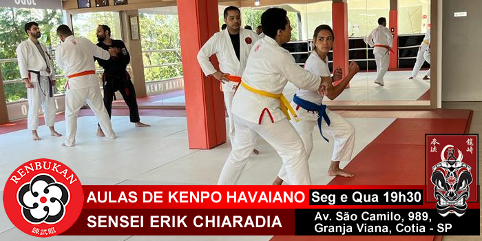 Aula de Kenpo Havaiano - Sensei Erik Chiaradia - Renbukan Brasil - Escola de Artes Marciais Japonesas - Cotia - São Paulo - Defesa Pessoal