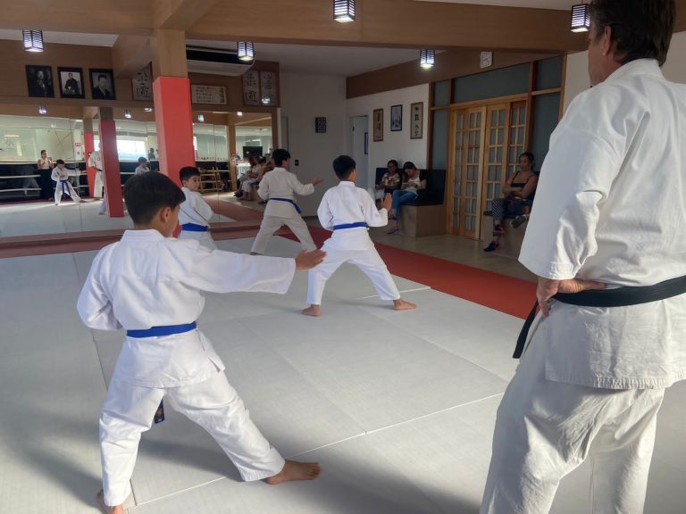 Aulas de karate - Renbukan Brasil - Escola de Artes Marciais - Cotia - São Paulo - Sensei Francisco Santiago