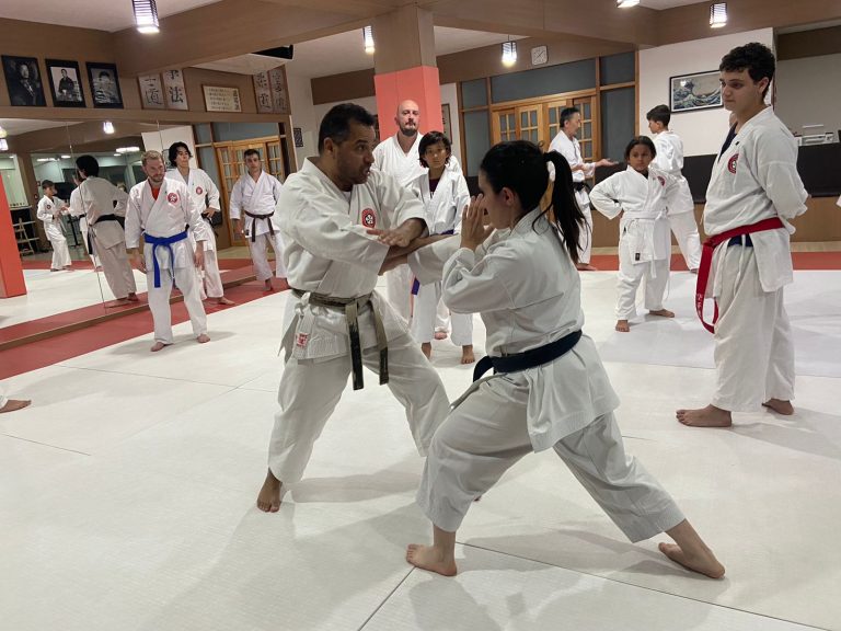 Aulas de karate - Renbukan Brasil - Escola de Artes Marciais - Cotia - São Paulo - Sensei Francisco Santiago - Sensei Barbara Belafronte